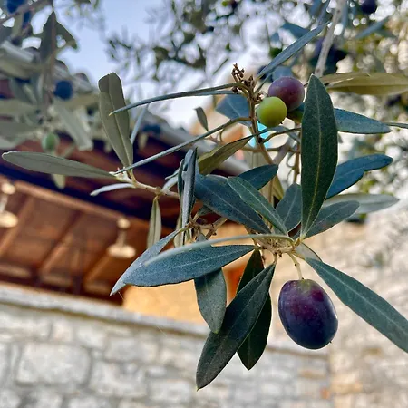 Azzurra Villa *